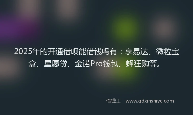 2025年的开通借呗能借钱吗有：享易达、微粒宝盒、星愿贷、金诺Pro钱包、蜂狂购等。