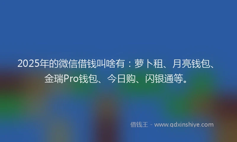 2025年的微信借钱叫啥有：萝卜租、月亮钱包、金瑞Pro钱包、今日购、闪银通等。