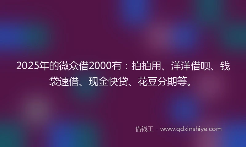 2025年的微众借2000有：拍拍用、洋洋借呗、钱袋速借、现金快贷、花豆分期等。