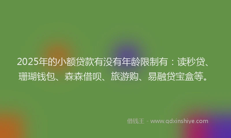 2025年的小额贷款有没有年龄限制有：读秒贷、珊瑚钱包、森森借呗、旅游购、易融贷宝盒等。