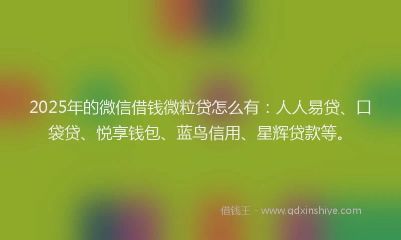 2025年的微信借钱微粒贷怎么有：人人易贷、口袋贷、悦享钱包、蓝鸟信用、星辉贷款等。