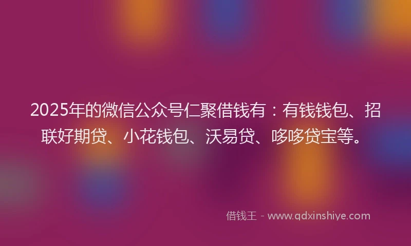 2025年的微信公众号仁聚借钱有：有钱钱包、招联好期贷、小花钱包、沃易贷、哆哆贷宝等。