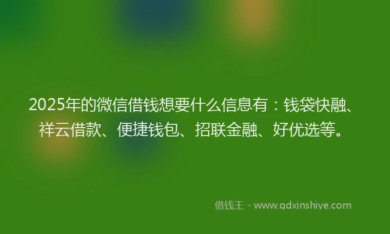 2025年的微信借钱想要什么信息有：钱袋快融、祥云借款、便捷钱包、招联金融、好优选等。
