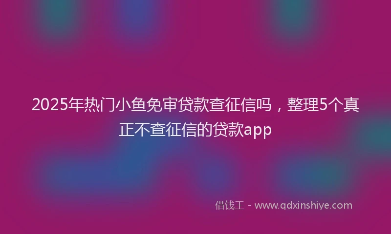 2025年热门小鱼免审贷款查征信吗，整理5个真正不查征信的贷款app