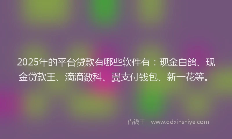 2025年的平台贷款有哪些软件有：现金白鸽、现金贷款王、滴滴数科、翼支付钱包、新一花等。