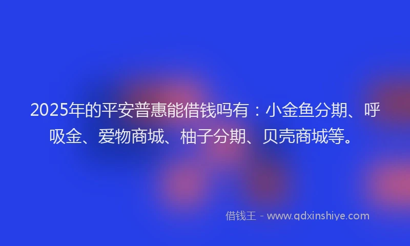 2025年的平安普惠能借钱吗有：小金鱼分期、呼吸金、爱物商城、柚子分期、贝壳商城等。