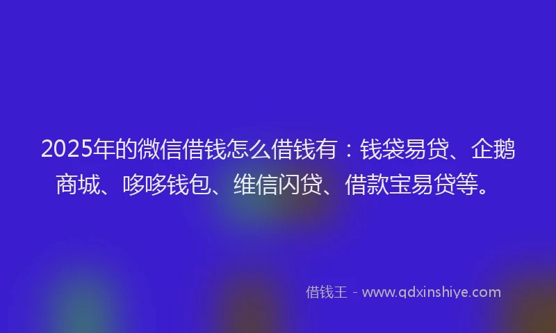 2025年的微信借钱怎么借钱有：钱袋易贷、企鹅商城、哆哆钱包、维信闪贷、借款宝易贷等。