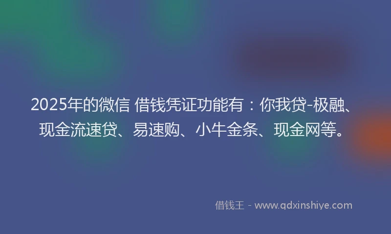 2025年的微信 借钱凭证功能有：你我贷-极融、现金流速贷、易速购、小牛金条、现金网等。