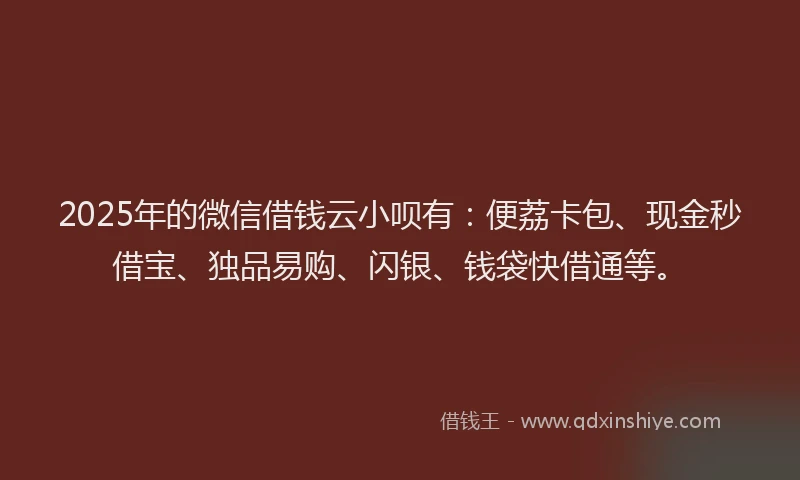 2025年的微信借钱云小呗有：便荔卡包、现金秒借宝、独品易购、闪银、钱袋快借通等。