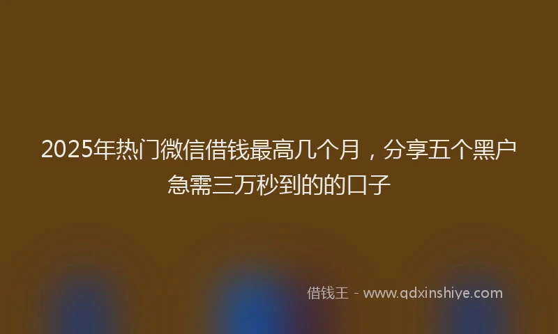 2025年热门微信借钱最高几个月，分享五个黑户急需三万秒到的的口子