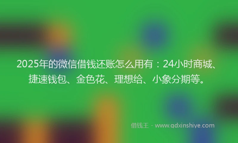 2025年的微信借钱还账怎么用有：24小时商城、捷速钱包、金色花、理想给、小象分期等。