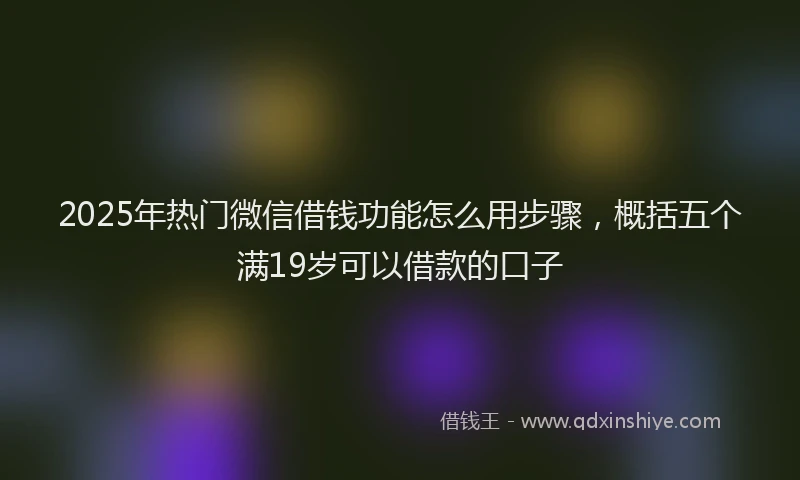 2025年热门微信借钱功能怎么用步骤，概括五个满19岁可以借款的口子