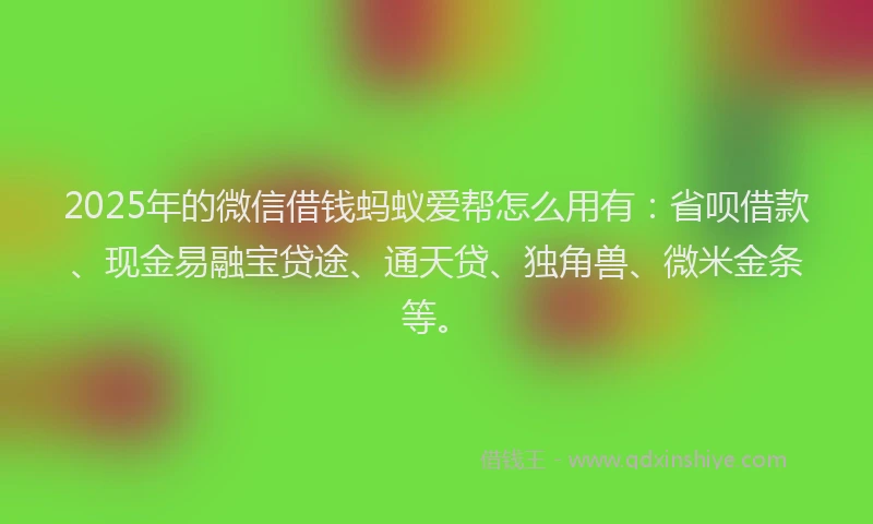 2025年的微信借钱蚂蚁爱帮怎么用有：省呗借款、现金易融宝贷途、通天贷、独角兽、微米金条等。