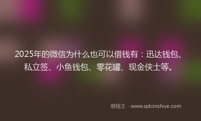 2025年的微信为什么也可以借钱有：迅达钱包、私立签、小鱼钱包、零花罐、现金侠士等。