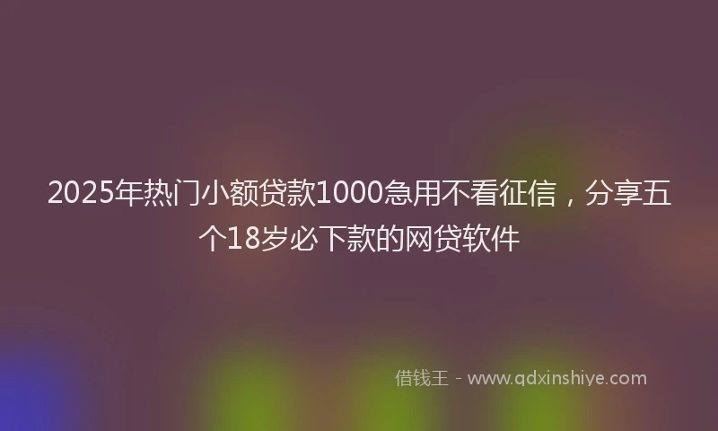 2025年热门小额贷款1000急用不看征信，分享五个18岁必下款的网贷软件
