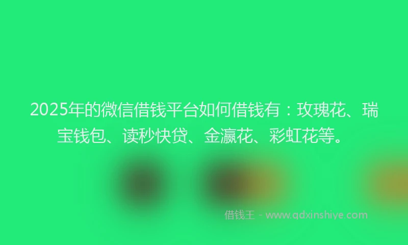 2025年的微信借钱平台如何借钱有：玫瑰花、瑞宝钱包、读秒快贷、金瀛花、彩虹花等。