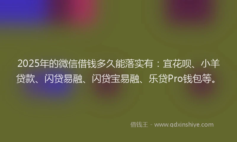 2025年的微信借钱多久能落实有:宜花呗、小羊贷款、闪贷易融、闪贷宝易融、乐贷Pro钱包等。