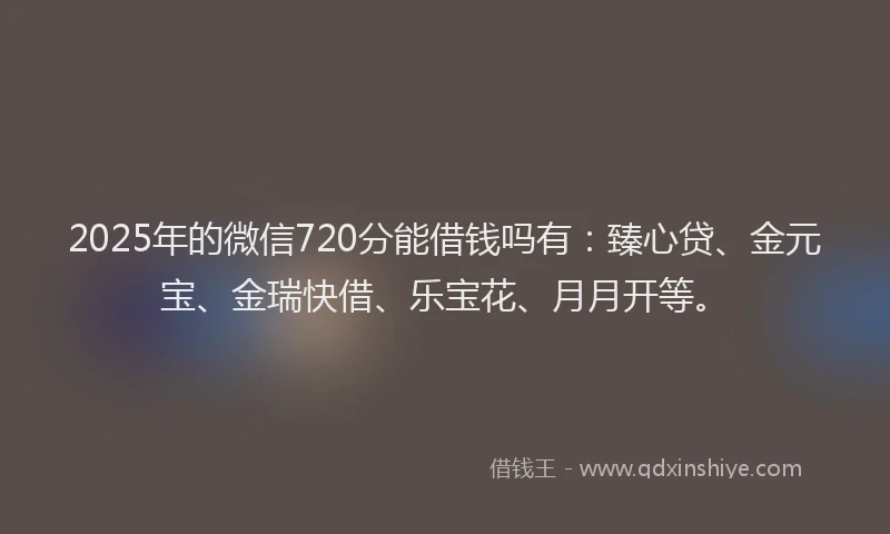 2025年的微信720分能借钱吗有：臻心贷、金元宝、金瑞快借、乐宝花、月月开等。