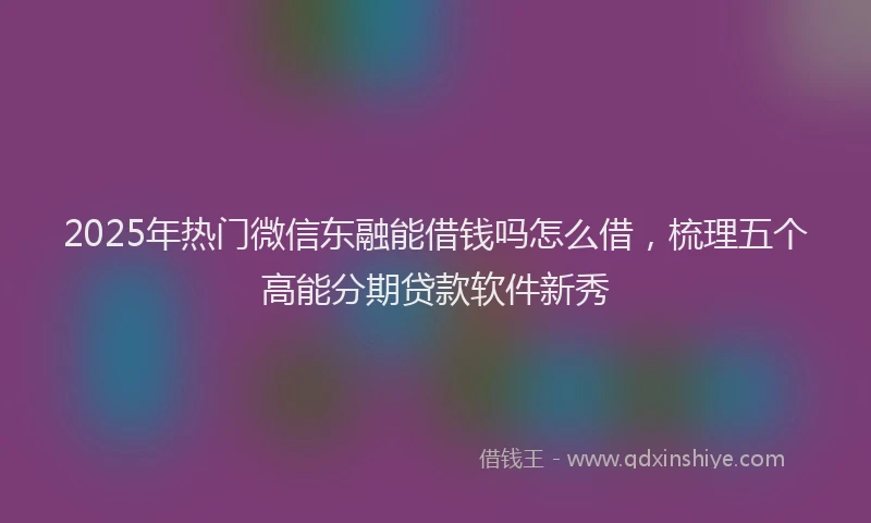 2025年热门微信东融能借钱吗怎么借，梳理五个高能分期贷款软件新秀