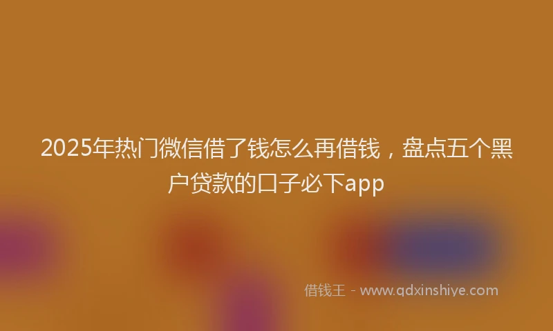 2025年热门微信借了钱怎么再借钱，盘点五个黑户贷款的口子必下app