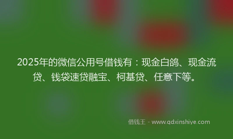 2025年的微信公用号借钱有：现金白鸽、现金流贷、钱袋速贷融宝、柯基贷、任意下等。