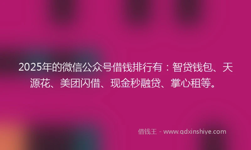 2025年的微信公众号借钱排行有：智贷钱包、天源花、美团闪借、现金秒融贷、掌心租等。
