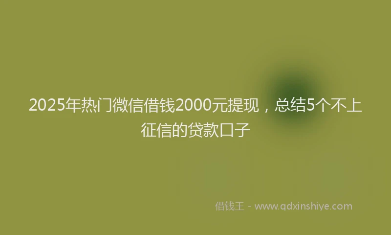 2025年热门微信借钱2000元提现，总结5个不上征信的贷款口子