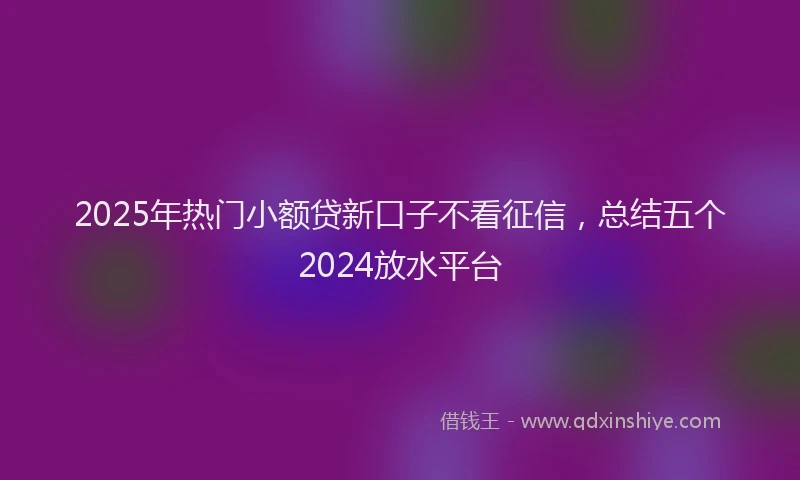 2025年热门小额贷新口子不看征信，总结五个2024放水平台