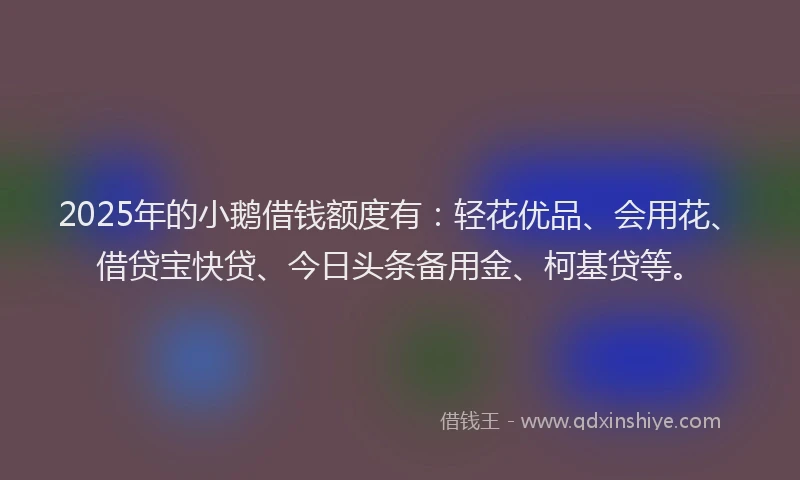 2025年的小鹅借钱额度有：轻花优品、会用花、借贷宝快贷、今日头条备用金、柯基贷等。
