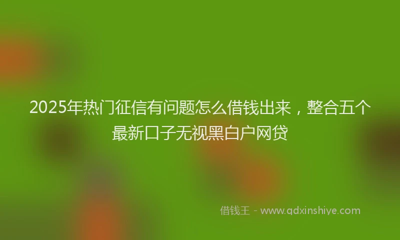 2025年热门征信有问题怎么借钱出来，整合五个最新口子无视黑白户网贷