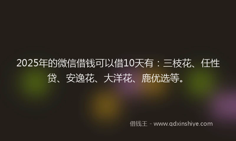 2025年的微信借钱可以借10天有：三枝花、任性贷、安逸花、大洋花、鹿优选等。
