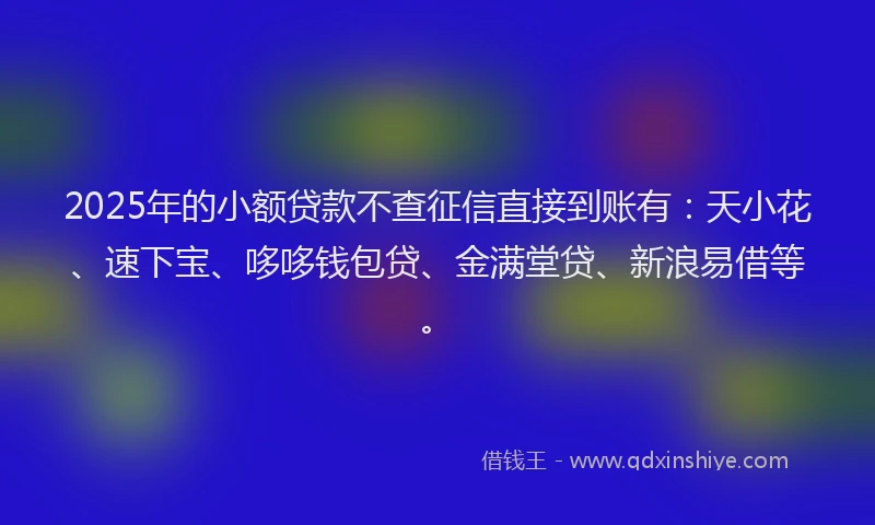 2025年的小额贷款不查征信直接到账有：天小花、速下宝、哆哆钱包贷、金满堂贷、新浪易借等。