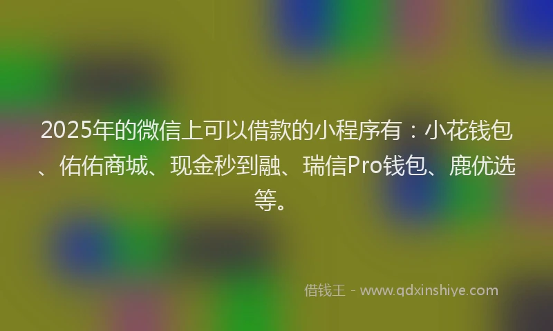 2025年的微信上可以借款的小程序有:小花钱包、佑佑商城、现金秒到融、瑞信Pro钱包、鹿优选等。