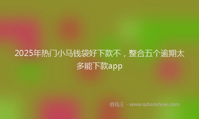 2025年热门小马钱袋好下款不，整合五个逾期太多能下款app