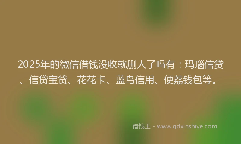 2025年的微信借钱没收就删人了吗有：玛瑙信贷、信贷宝贷、花花卡、蓝鸟信用、便荔钱包等。