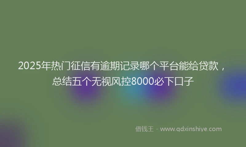2025年热门征信有逾期记录哪个平台能给贷款，总结五个无视风控8000必下口子