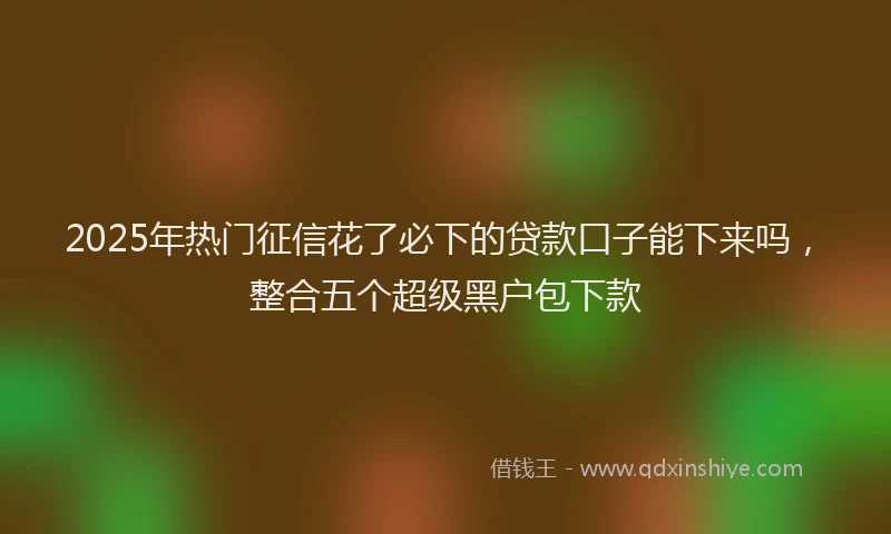 2025年热门征信花了必下的贷款口子能下来吗，整合五个超级黑户包下款
