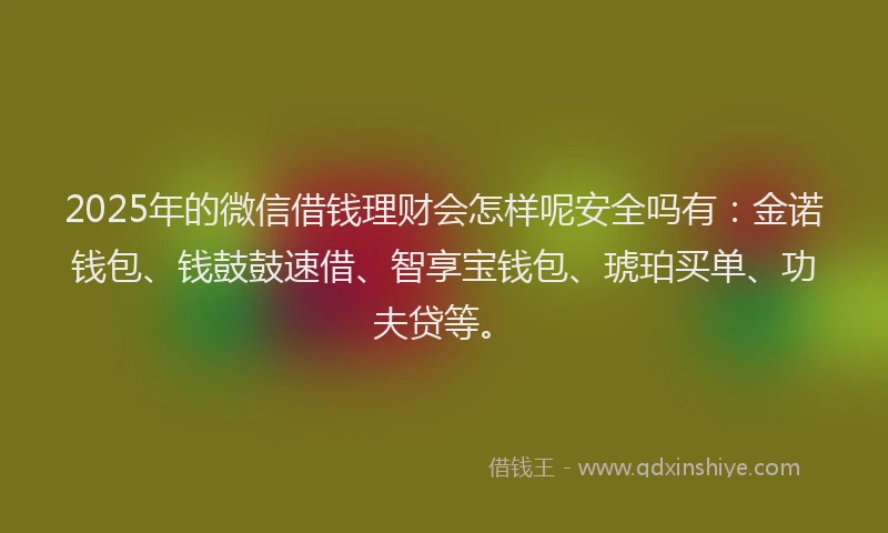 2025年的微信借钱理财会怎样呢安全吗有：金诺钱包、钱鼓鼓速借、智享宝钱包、琥珀买单、功夫贷等。