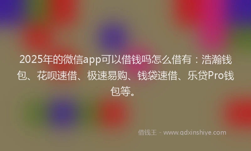 2025年的微信app可以借钱吗怎么借有：浩瀚钱包、花呗速借、极速易购、钱袋速借、乐贷Pro钱包等。