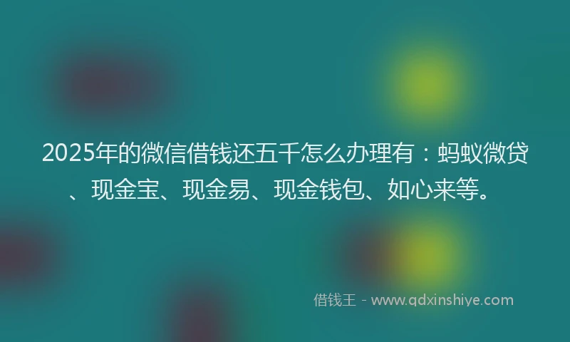 2025年的微信借钱还五千怎么办理有：蚂蚁微贷、现金宝、现金易、现金钱包、如心来等。