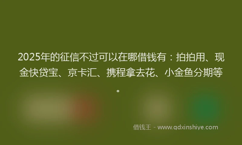 2025年的征信不过可以在哪借钱有：拍拍用、现金快贷宝、京卡汇、携程拿去花、小金鱼分期等。