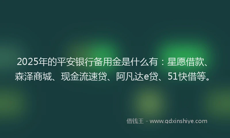 2025年的平安银行备用金是什么有：星愿借款、森泽商城、现金流速贷、阿凡达e贷、51快借等。