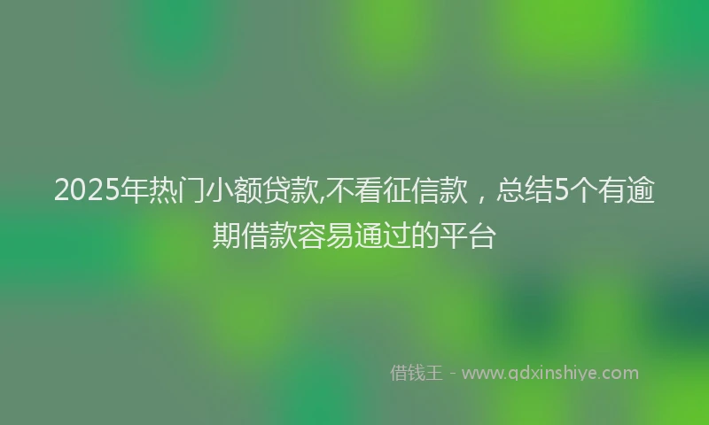 2025年热门小额贷款,不看征信款，总结5个有逾期借款容易通过的平台