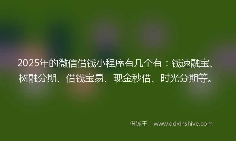 2025年的微信借钱小程序有几个有：钱速融宝、树融分期、借钱宝易、现金秒借、时光分期等。