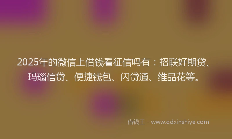 2025年的微信上借钱看征信吗有:招联好期贷、玛瑙信贷、便捷钱包、闪贷通、维品花等。
