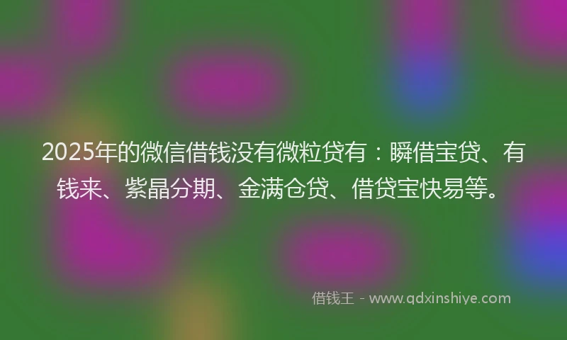 2025年的微信借钱没有微粒贷有：瞬借宝贷、有钱来、紫晶分期、金满仓贷、借贷宝快易等。