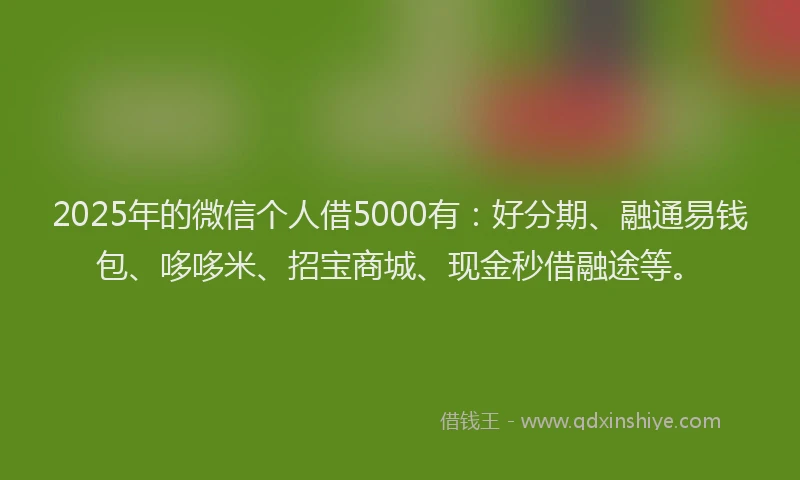2025年的微信个人借5000有:好分期、融通易钱包、哆哆米、招宝商城、现金秒借融途等。