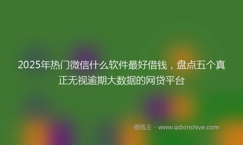 2025年热门微信什么软件最好借钱，盘点五个真正无视逾期大数据的网贷平台