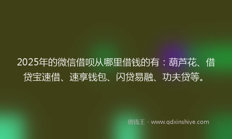 2025年的微信借呗从哪里借钱的有：葫芦花、借贷宝速借、速享钱包、闪贷易融、功夫贷等。