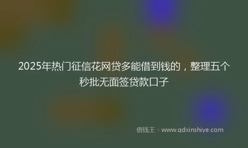 2025年热门征信花网贷多能借到钱的，整理五个秒批无面签贷款口子